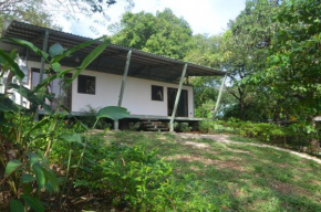 Casa Abierta
